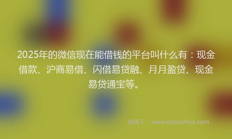 2025年的微信现在能借钱的平台叫什么有：现金借款、沪商易借、闪借易贷融、月月盈贷、现金易贷通宝等。