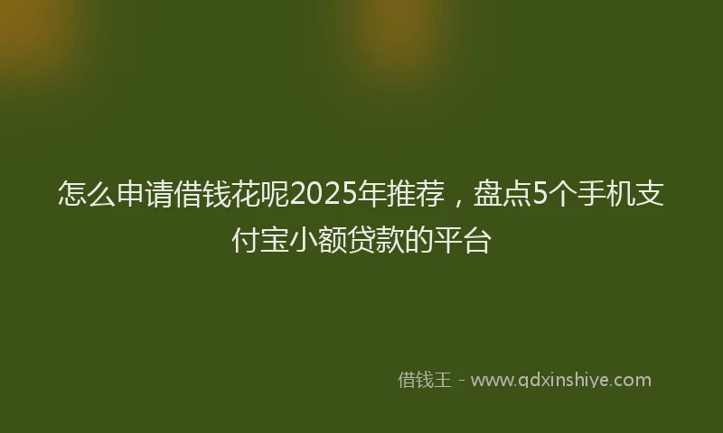 怎么申请借钱花呢2025年推荐，盘点5个手机支付宝小额贷款的平台