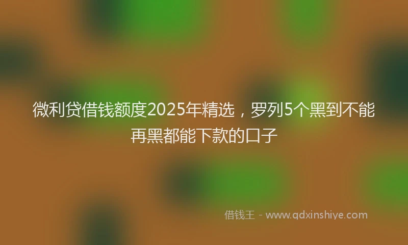 微利贷借钱额度2025年精选，罗列5个黑到不能再黑都能下款的口子