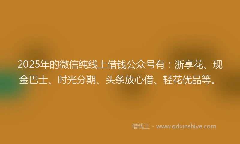 2025年的微信纯线上借钱公众号有：浙享花、现金巴士、时光分期、头条放心借、轻花优品等。