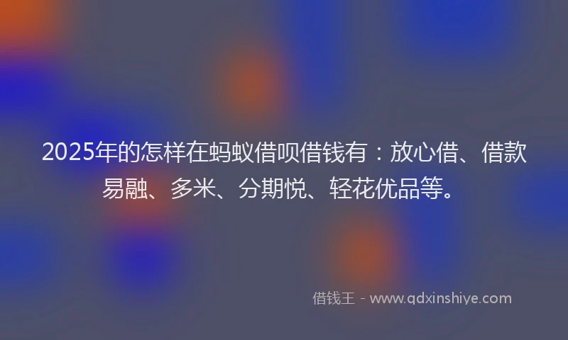 2025年的怎样在蚂蚁借呗借钱有：放心借、借款易融、多米、分期悦、轻花优品等。