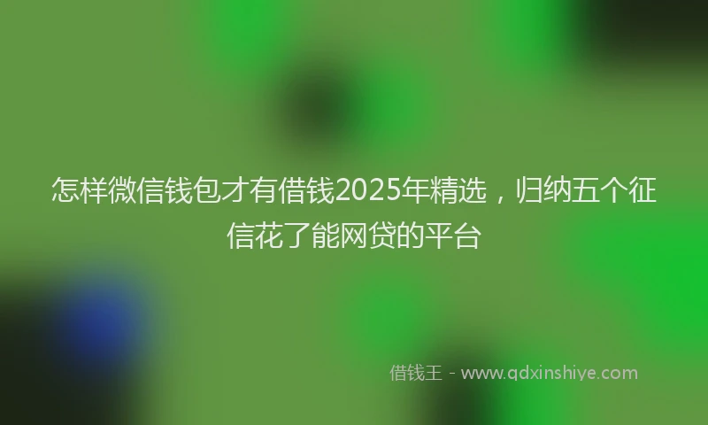 怎样微信钱包才有借钱2025年精选，归纳五个征信花了能网贷的平台