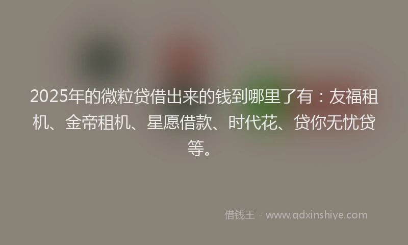 2025年的微粒贷借出来的钱到哪里了有：友福租机、金帝租机、星愿借款、时代花、贷你无忧贷等。