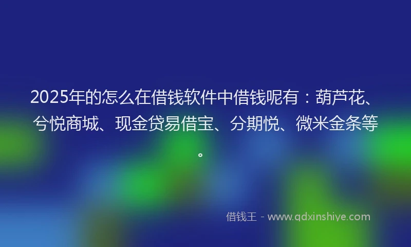 2025年的怎么在借钱软件中借钱呢有：葫芦花、兮悦商城、现金贷易借宝、分期悦、微米金条等。