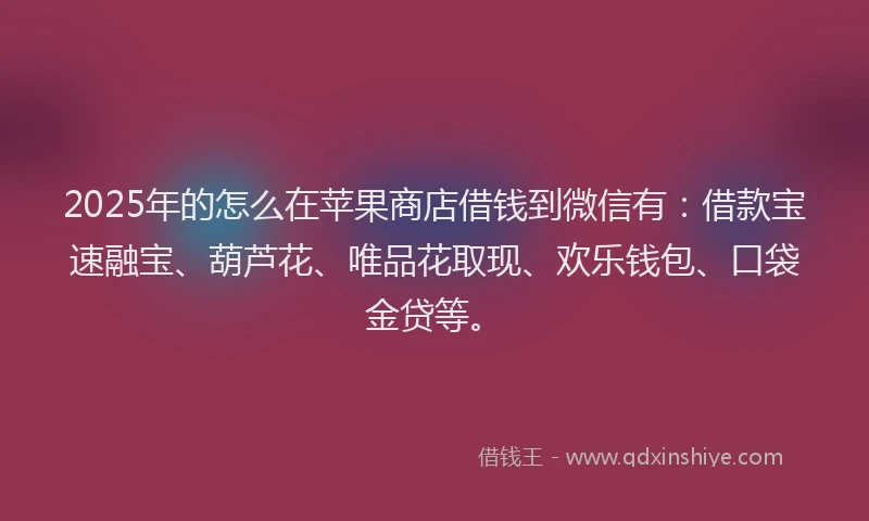 2025年的怎么在苹果商店借钱到微信有：借款宝速融宝、葫芦花、唯品花取现、欢乐钱包、口袋金贷等。
