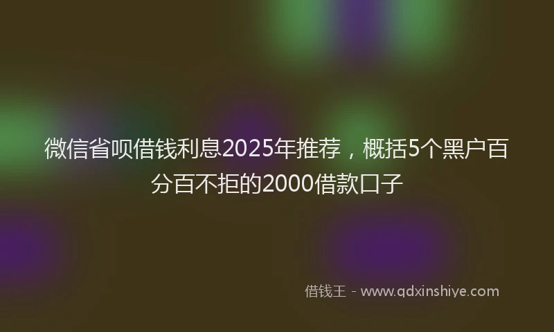 微信省呗借钱利息2025年推荐，概括5个黑户百分百不拒的2000借款口子