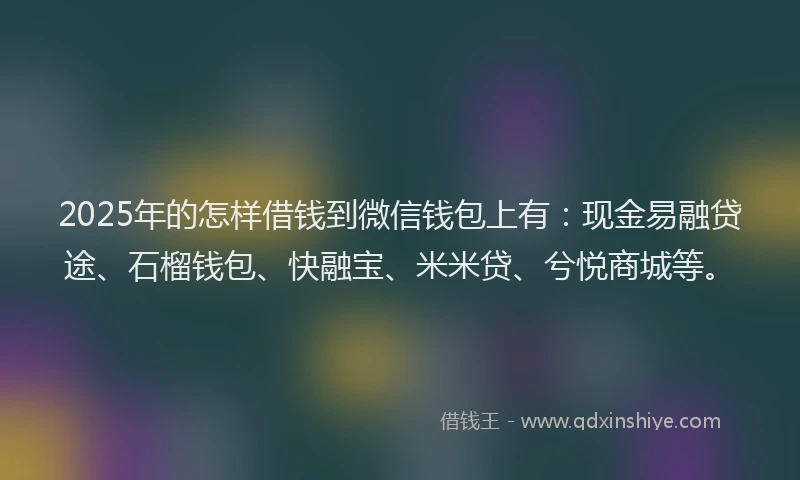 2025年的怎样借钱到微信钱包上有：现金易融贷途、石榴钱包、快融宝、米米贷、兮悦商城等。