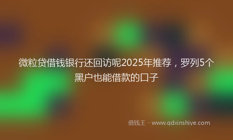 微粒贷借钱银行还回访呢2025年推荐，罗列5个黑户也能借款的口子