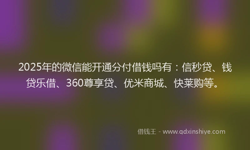 2025年的微信能开通分付借钱吗有：信秒贷、钱贷乐借、360尊享贷、优米商城、快莱购等。