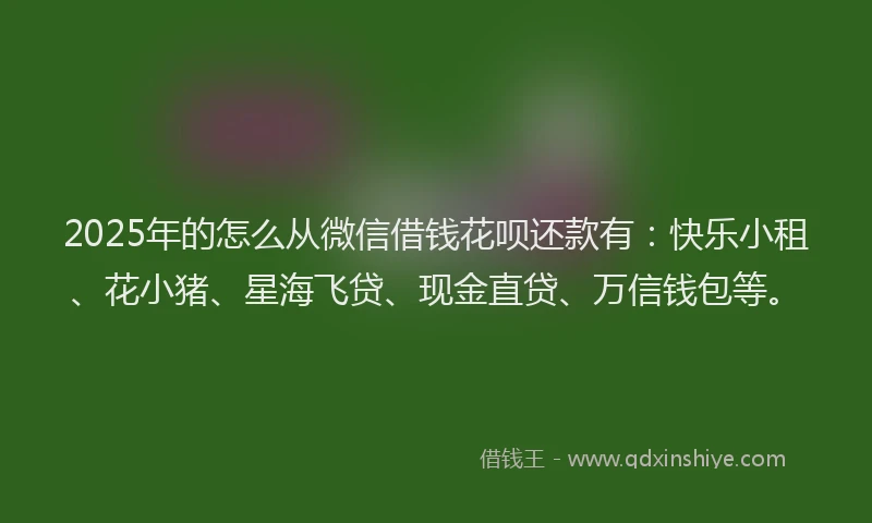 2025年的怎么从微信借钱花呗还款有：快乐小租、花小猪、星海飞贷、现金直贷、万信钱包等。
