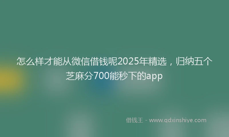 怎么样才能从微信借钱呢2025年精选，归纳五个芝麻分700能秒下的app