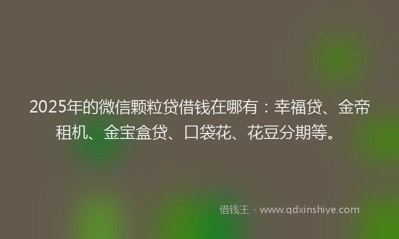 2025年的微信颗粒贷借钱在哪有：幸福贷、金帝租机、金宝盒贷、口袋花、花豆分期等。