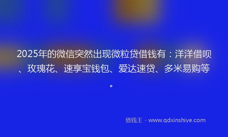 2025年的微信突然出现微粒贷借钱有：洋洋借呗、玫瑰花、速享宝钱包、爱达速贷、多米易购等。