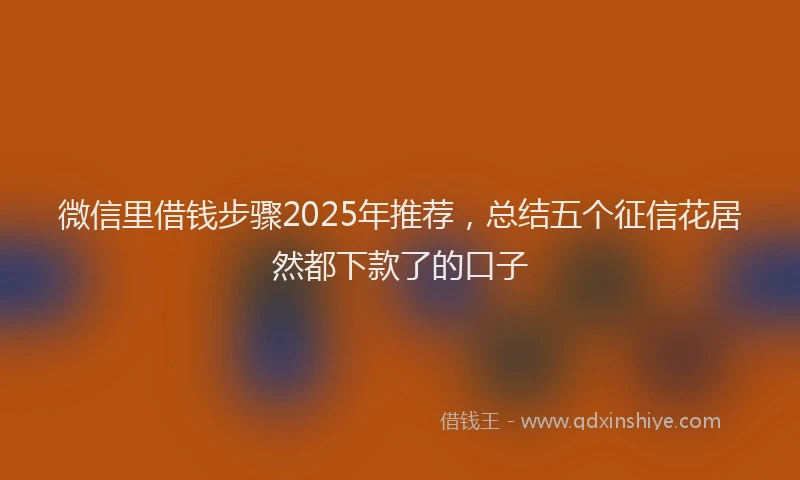 微信里借钱步骤2025年推荐，总结五个征信花居然都下款了的口子