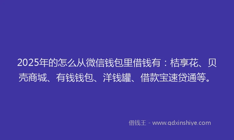 2025年的怎么从微信钱包里借钱有：桔享花、贝壳商城、有钱钱包、洋钱罐、借款宝速贷通等。