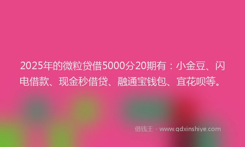 2025年的微粒贷借5000分20期有：小金豆、闪电借款、现金秒借贷、融通宝钱包、宜花呗等。
