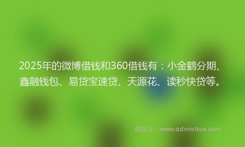 2025年的微博借钱和360借钱有：小金鹤分期、鑫融钱包、易贷宝速贷、天源花、读秒快贷等。