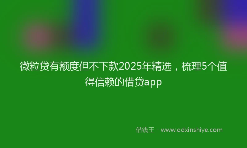 微粒贷有额度但不下款2025年精选，梳理5个值得信赖的借贷app