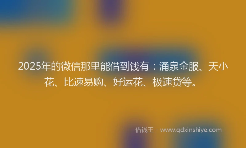2025年的微信那里能借到钱有：涌泉金服、天小花、比速易购、好运花、极速贷等。