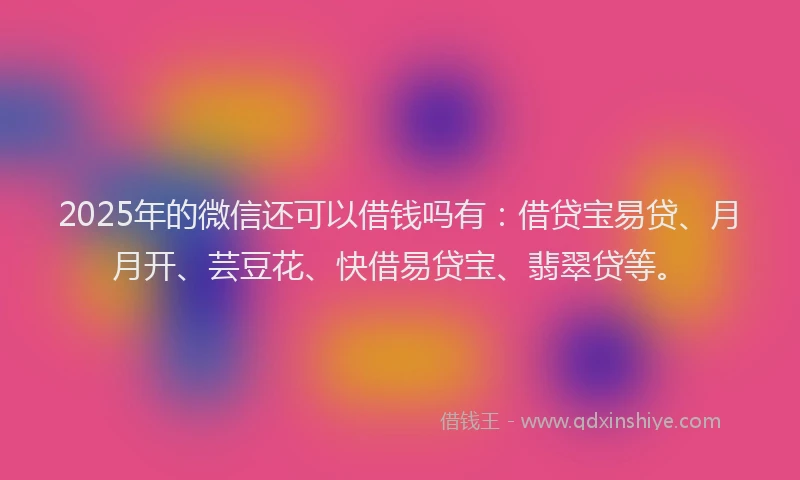 2025年的微信还可以借钱吗有：借贷宝易贷、月月开、芸豆花、快借易贷宝、翡翠贷等。