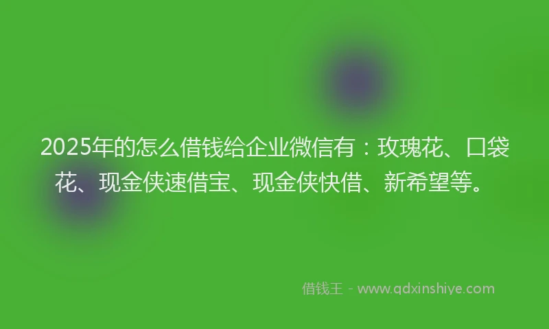 2025年的怎么借钱给企业微信有：玫瑰花、口袋花、现金侠速借宝、现金侠快借、新希望等。