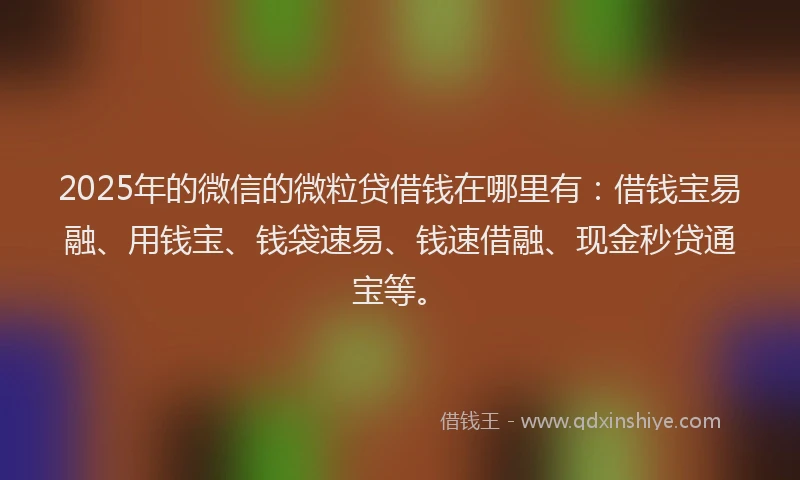 2025年的微信的微粒贷借钱在哪里有：借钱宝易融、用钱宝、钱袋速易、钱速借融、现金秒贷通宝等。