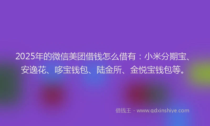 2025年的微信美团借钱怎么借有：小米分期宝、安逸花、哆宝钱包、陆金所、金悦宝钱包等。