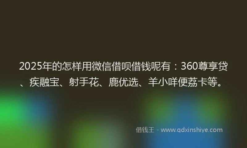 2025年的怎样用微信借呗借钱呢有：360尊享贷、疾融宝、射手花、鹿优选、羊小咩便荔卡等。