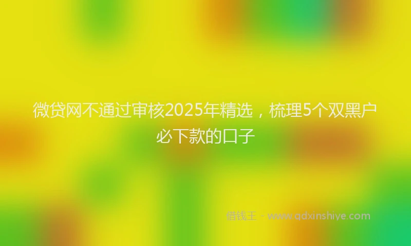 微贷网不通过审核2025年精选，梳理5个双黑户必下款的口子