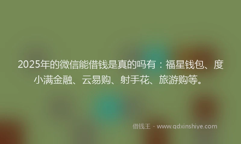 2025年的微信能借钱是真的吗有：福星钱包、度小满金融、云易购、射手花、旅游购等。