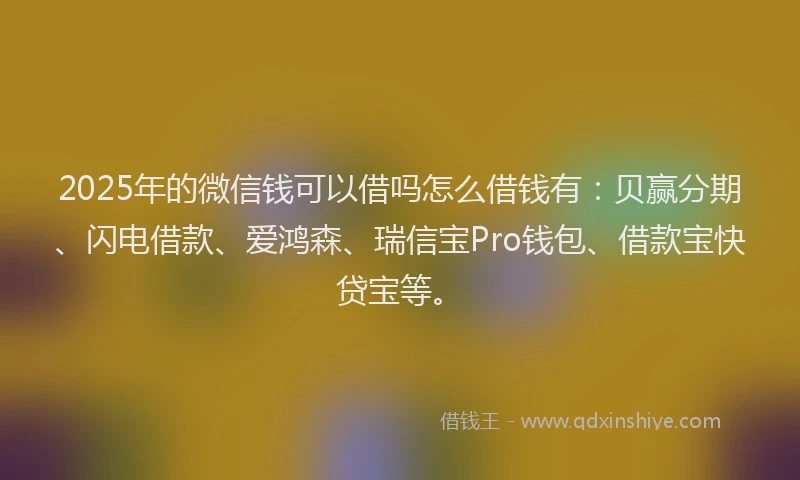 2025年的微信钱可以借吗怎么借钱有：贝赢分期、闪电借款、爱鸿森、瑞信宝Pro钱包、借款宝快贷宝等。