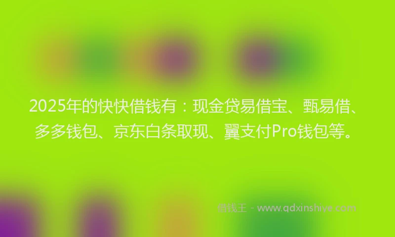 2025年的快快借钱有：现金贷易借宝、甄易借、多多钱包、京东白条取现、翼支付Pro钱包等。