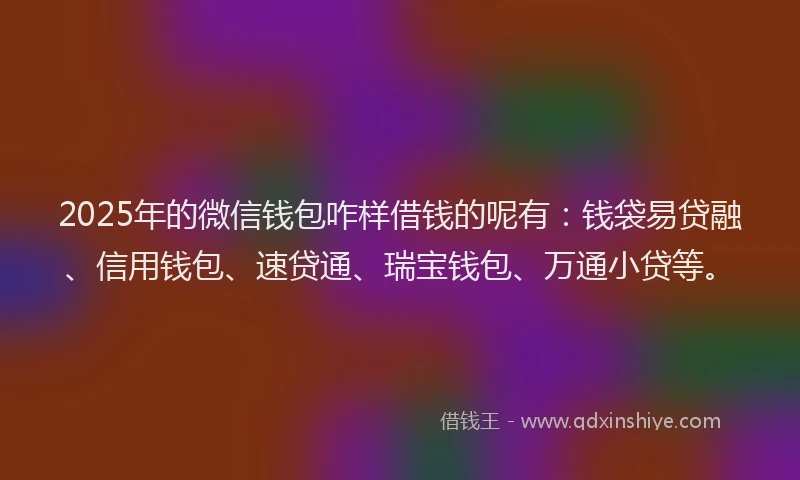 2025年的微信钱包咋样借钱的呢有：钱袋易贷融、信用钱包、速贷通、瑞宝钱包、万通小贷等。