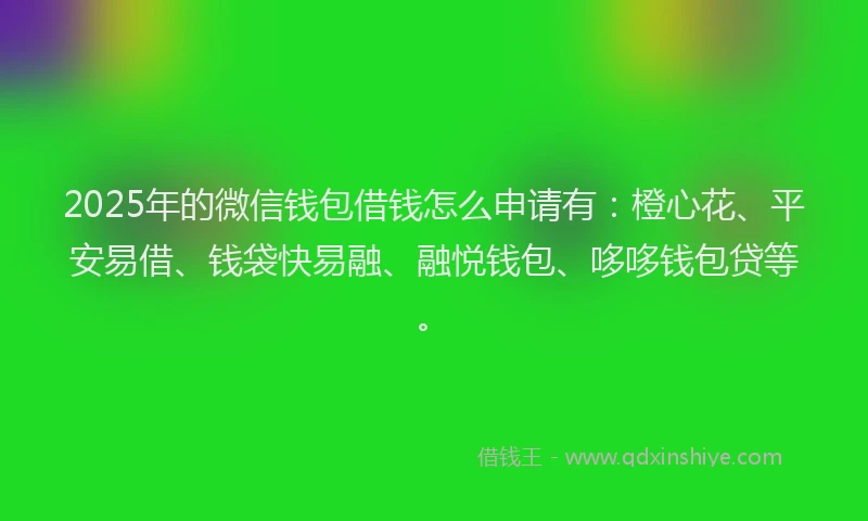 2025年的微信钱包借钱怎么申请有：橙心花、平安易借、钱袋快易融、融悦钱包、哆哆钱包贷等。