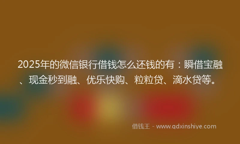 2025年的微信银行借钱怎么还钱的有：瞬借宝融、现金秒到融、优乐快购、粒粒贷、滴水贷等。