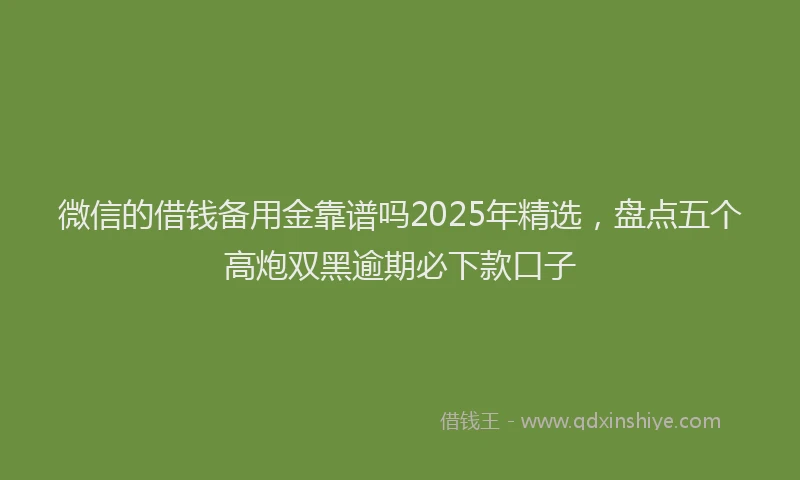 微信的借钱备用金靠谱吗2025年精选，盘点五个高炮双黑逾期必下款口子