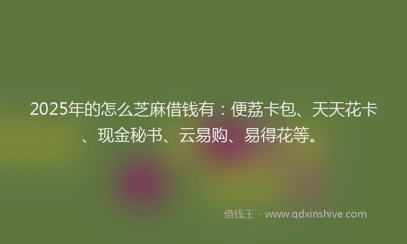 2025年的怎么芝麻借钱有：便荔卡包、天天花卡、现金秘书、云易购、易得花等。