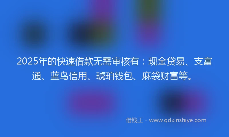 2025年的快速借款无需审核有：现金贷易、支富通、蓝鸟信用、琥珀钱包、麻袋财富等。