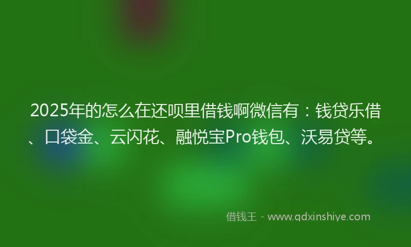 2025年的怎么在还呗里借钱啊微信有：钱贷乐借、口袋金、云闪花、融悦宝Pro钱包、沃易贷等。