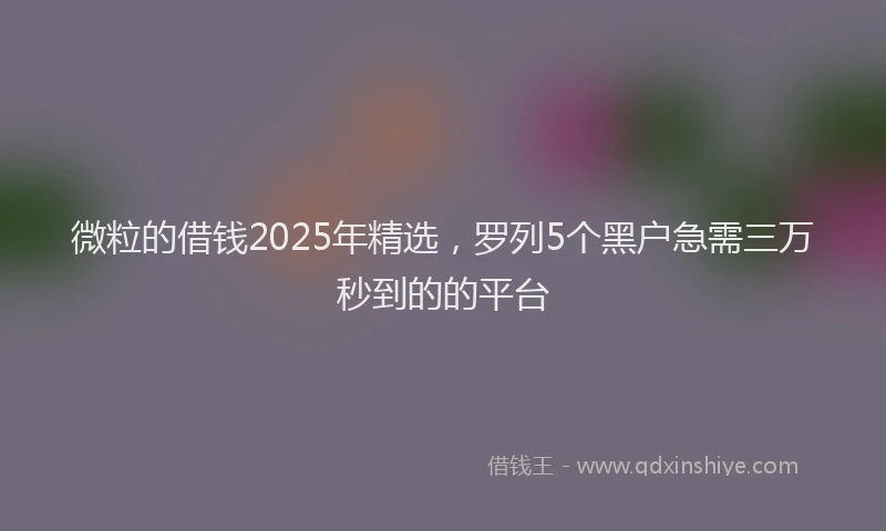 微粒的借钱2025年精选，罗列5个黑户急需三万秒到的的平台