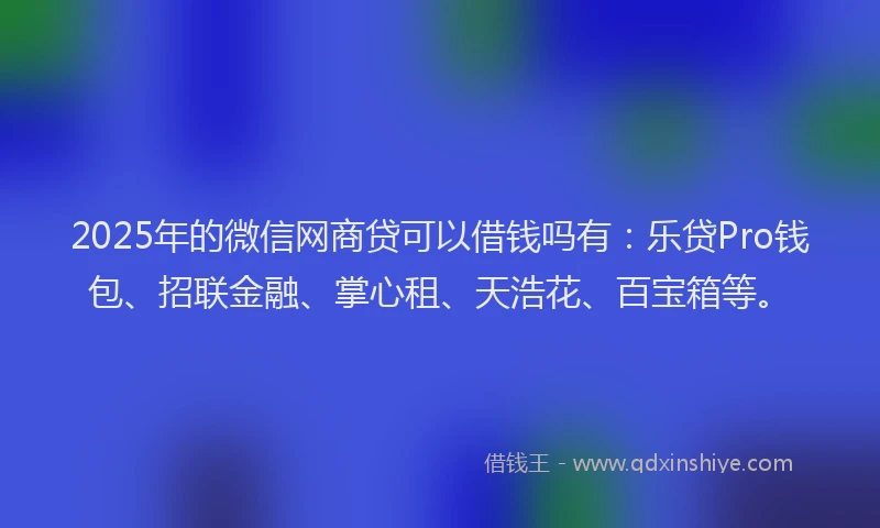 2025年的微信网商贷可以借钱吗有：乐贷Pro钱包、招联金融、掌心租、天浩花、百宝箱等。