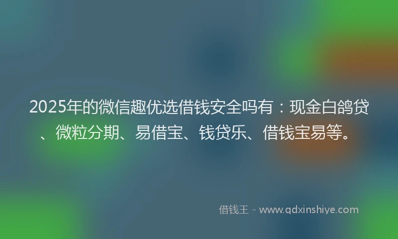 2025年的微信趣优选借钱安全吗有：现金白鸽贷、微粒分期、易借宝、钱贷乐、借钱宝易等。