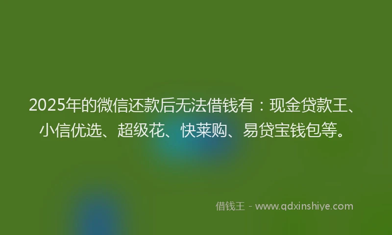 2025年的微信还款后无法借钱有：现金贷款王、小信优选、超级花、快莱购、易贷宝钱包等。
