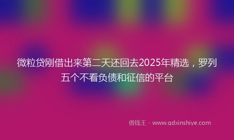 微粒贷刚借出来第二天还回去2025年精选，罗列五个不看负债和征信的平台