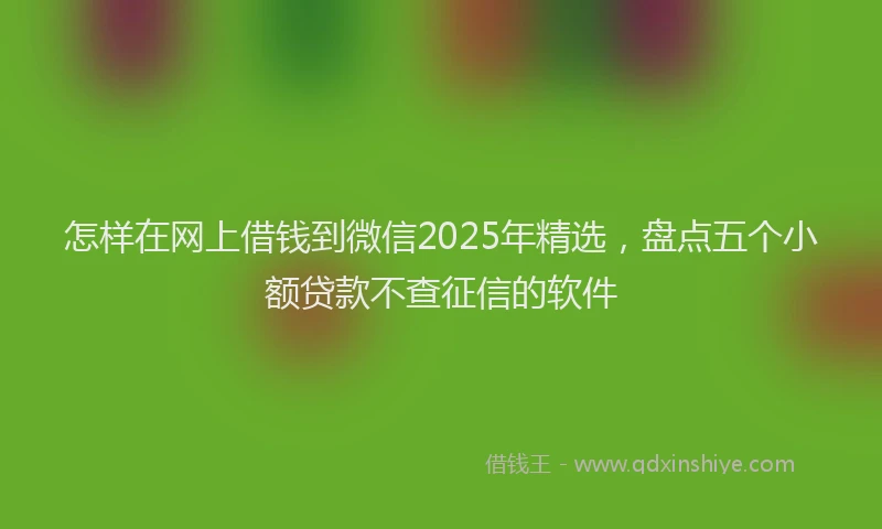 怎样在网上借钱到微信2025年精选，盘点五个小额贷款不查征信的软件