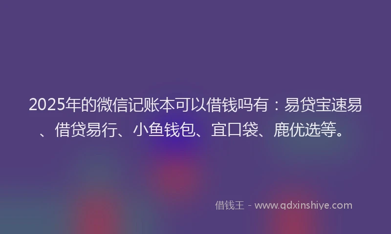 2025年的微信记账本可以借钱吗有：易贷宝速易、借贷易行、小鱼钱包、宜口袋、鹿优选等。