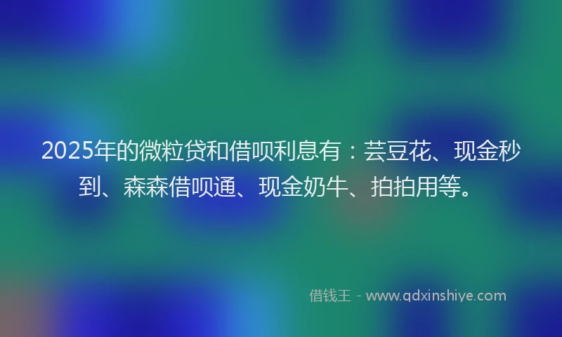 2025年的微粒贷和借呗利息有：芸豆花、现金秒到、森森借呗通、现金奶牛、拍拍用等。