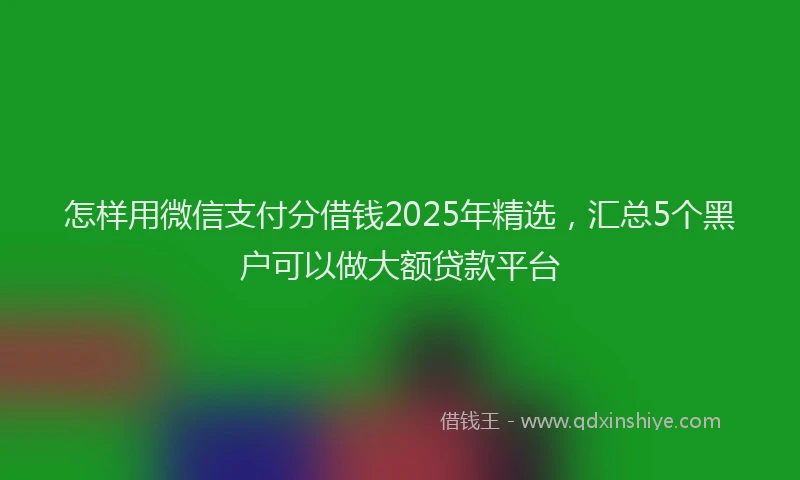 怎样用微信支付分借钱2025年精选，汇总5个黑户可以做大额贷款平台