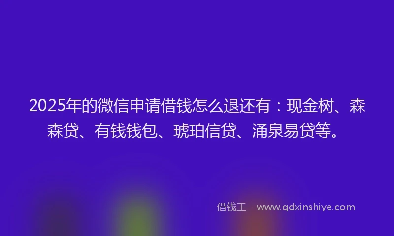 2025年的微信申请借钱怎么退还有：现金树、森森贷、有钱钱包、琥珀信贷、涌泉易贷等。