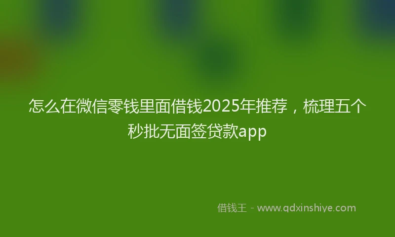 怎么在微信零钱里面借钱2025年推荐，梳理五个秒批无面签贷款app